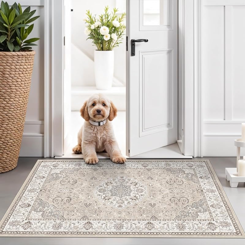 Washable Rug