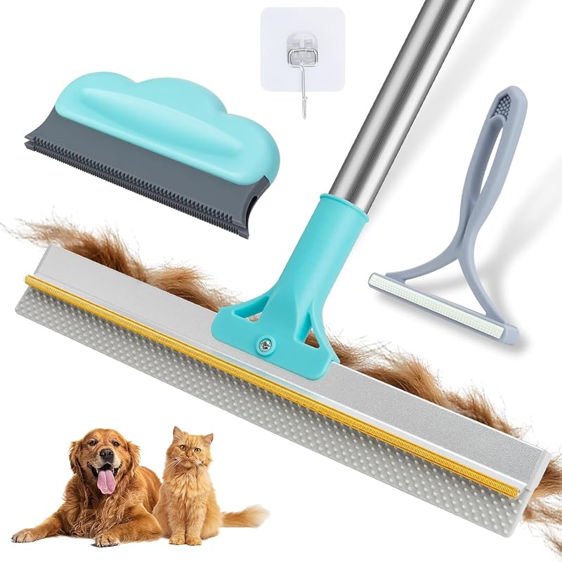Carpet Rake