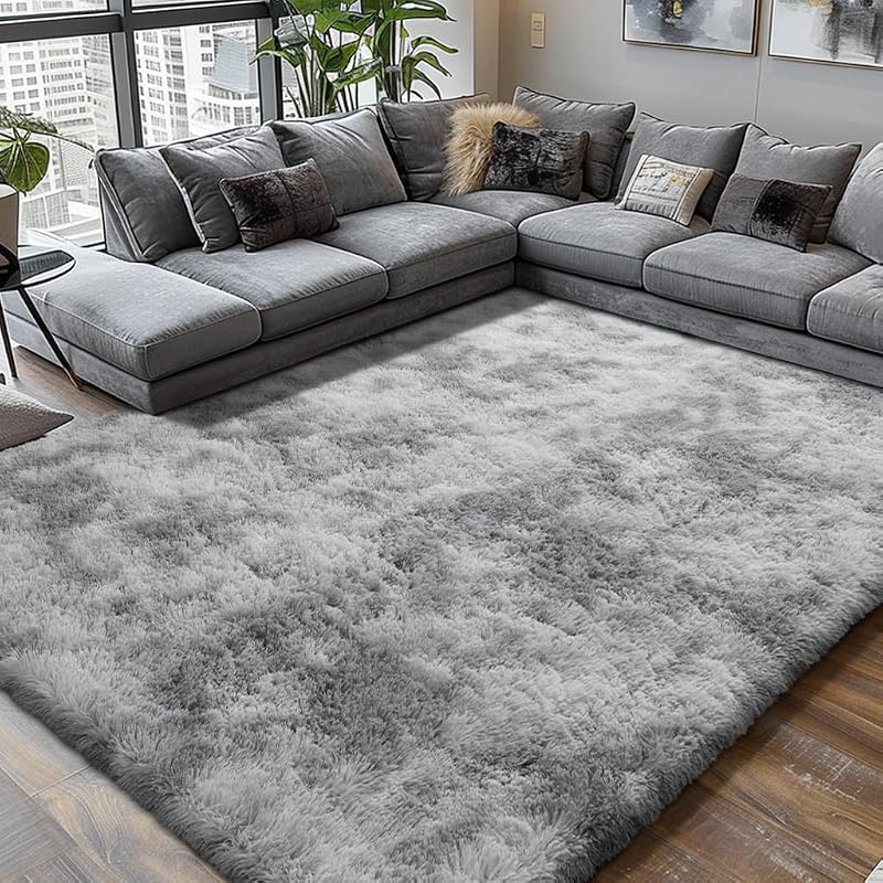 4x6 Ultra Soft Fluffy Shag Area Rug
